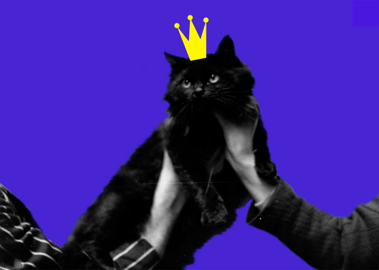 Mind-Body Connection for Meditation