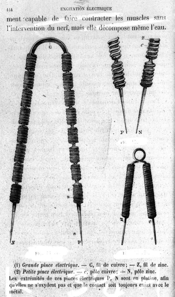 Appartus (electro-physiological experiments; zinc-copper couples threaded on pincers) used in experiments on curare and its effect on nerves and muscles. C. Bernard  Wellcome Collection