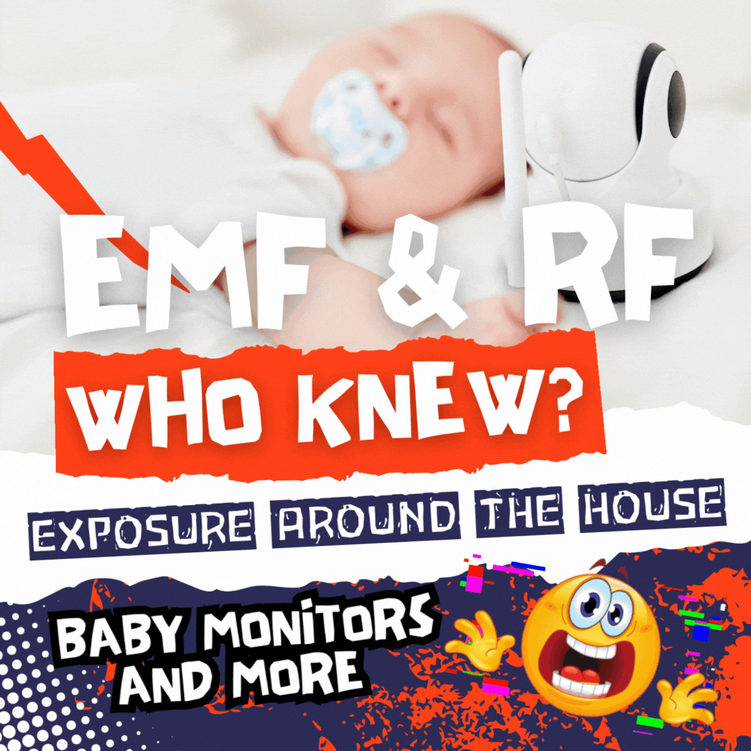 🌀 The Sonic Veil: RF, EMF, and Terrain Collapse in the Womb