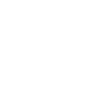 wordpress-simple-brands-1.png