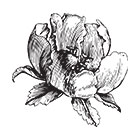 flower_logo1.jpg